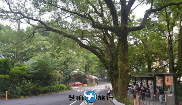台湾阳明山国家公园 芝麻旅行网